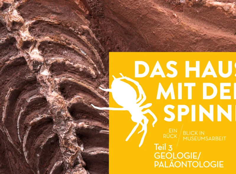Titel der Ausstellung "Das Haus mit der Spinne – Teil 3: Geologie / Paläontologie", im Hintergrund ein fossiliertes Skelett