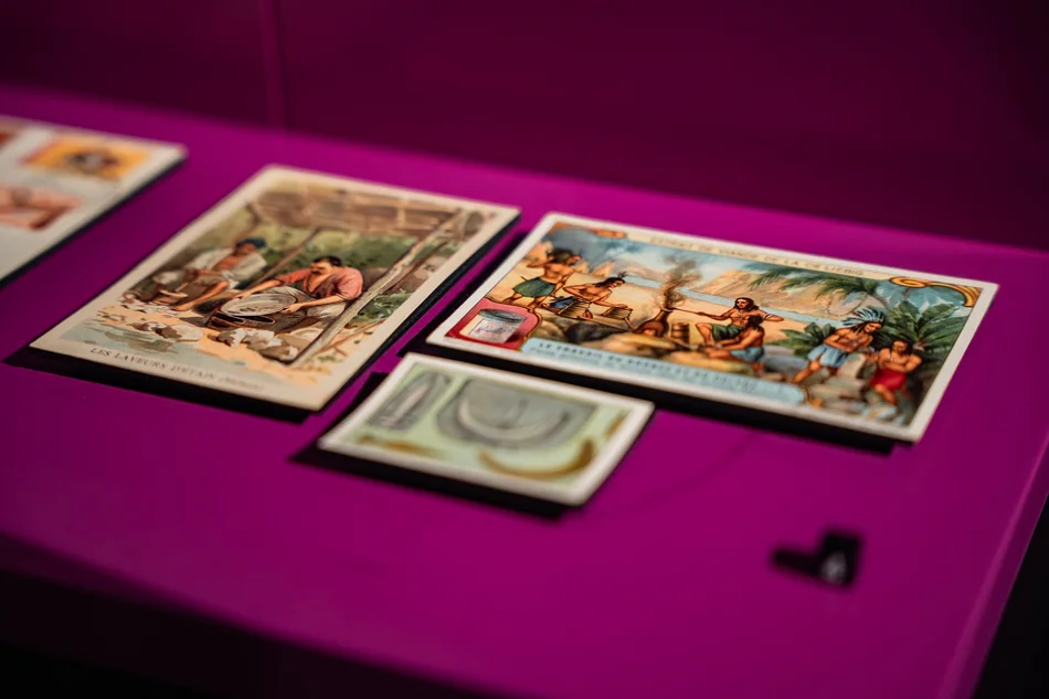 Detailaufnahme dreier historischer Anschauungskärtchen