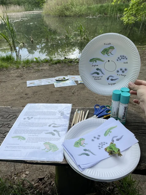 Am Ufer eines Sees liegen Arbeitsblätter. Eine Hand hält einen Pappteller hoch, auf dem die Entwicklungsstadien eines Frosches kreisförmig aufgezeichnet sind.