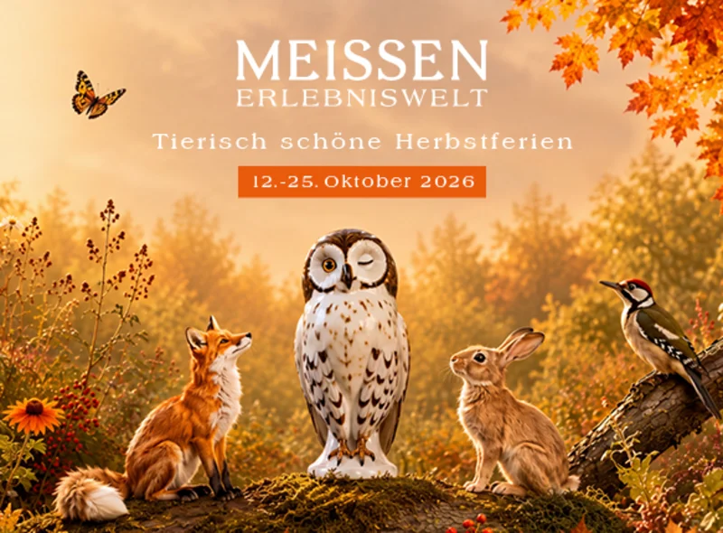 Porzellantiere (Fuchs, Eule, Hase, Specht) laden zu „Tierisch schönen Herbstferien“ in die Erlebniswelt MEISSEN ein.