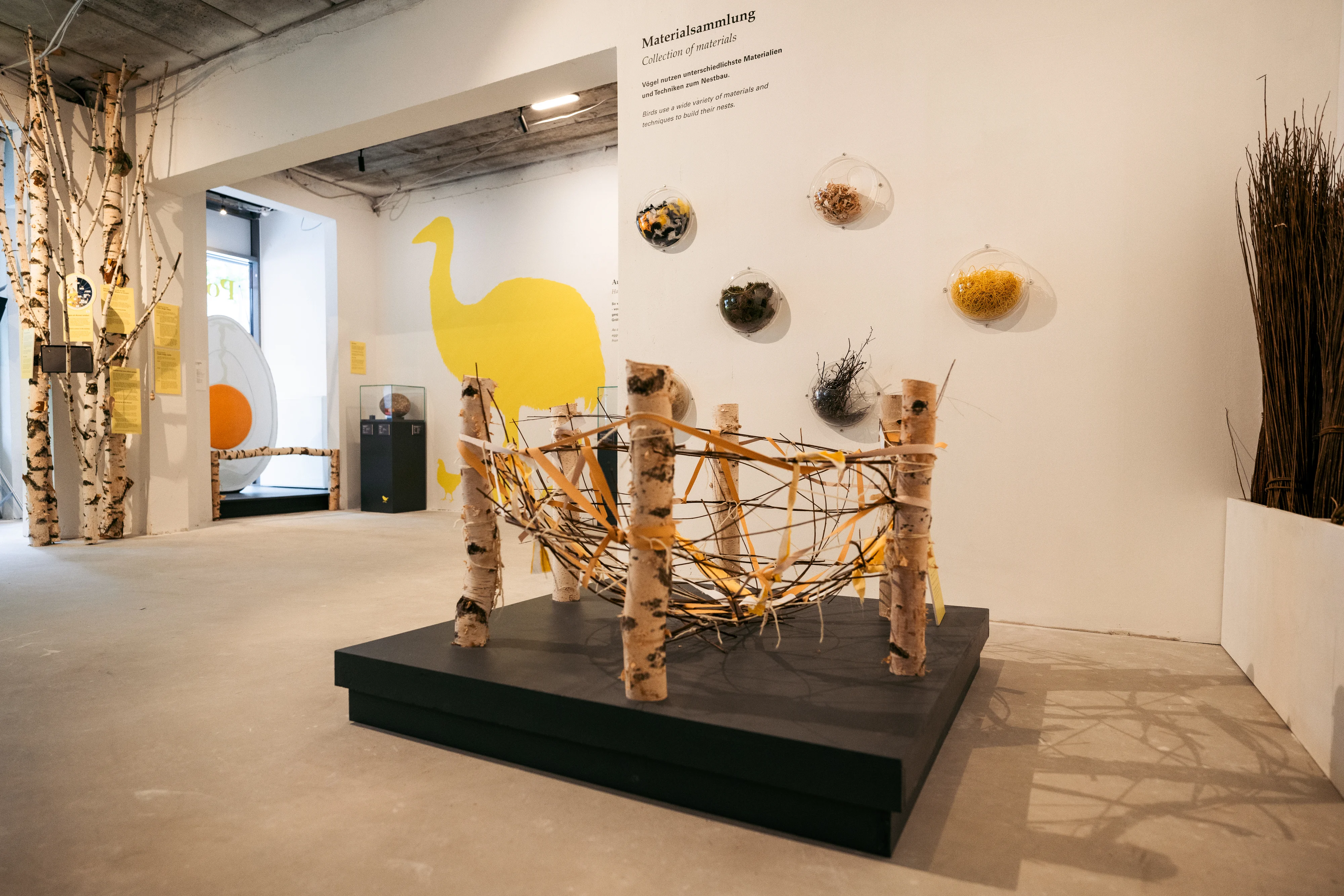 Vor einer Ausstellungswand mit Informationen unter der Überschrift "Materialsammlung" steht ein überdimensionales, aus Birkenstämmen und Zweigen gebautes Nest-Konstrukt. An der Wand hängen unterschiedliche von Vögeln für den Nestbau genutzte Materialien. Im Hintergrund ist eine Wand mit einer ganz in Gelb gehaltenen Grafik eines Vogel Strauß zu sehen, daneben hängt im Fenster ein fensterfüllendes ovales Bild, das wie ein riesiggroßes Spiegel-Ei aussieht.