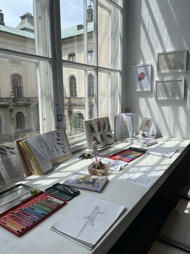 Nature Journaling Auf einer Fensterbank sind Skizzenhefte und Zeichenmaterialien ausgebreitet.