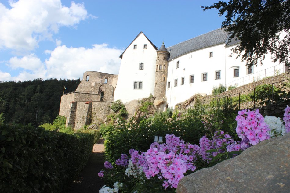 Im Vordergrund ein Kräutergarten mit violett blühenden Pflanzen, im Hintergrund die hoch aufstrebenden Mauern von Schloss Lauenstein