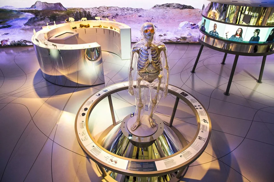 Wie unterscheiden wir uns vom Neanderthaler?