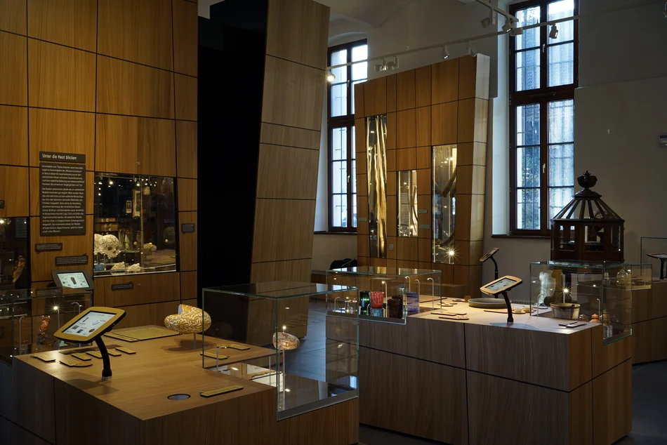 Blick in die moderne Begleitausstellung mit interaktiven Möglichkeiten