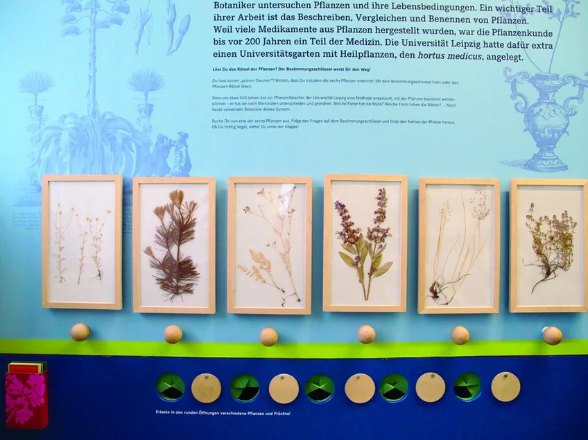 Mit Hilfe einer Anleitung können ausgewählte Pflanzen selbst analysiert und bestimmt werden.