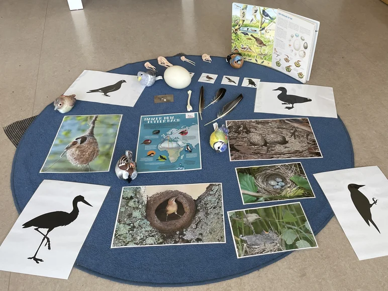 Auf einer kreisrunden Filzmatte sind verschiedenen Arbeitsmaterialien zum Thema Vogel und Brüten angeordnet.