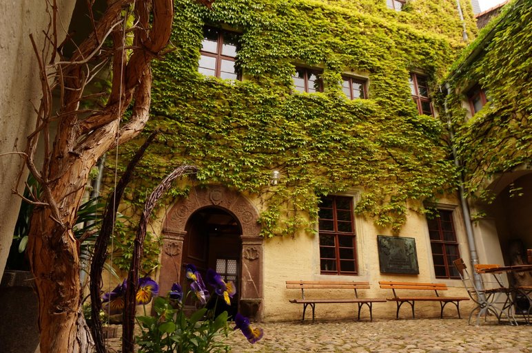 Innenhof eines historischen Gebäudekomplexes mit Efeu-bewachsener Fassade