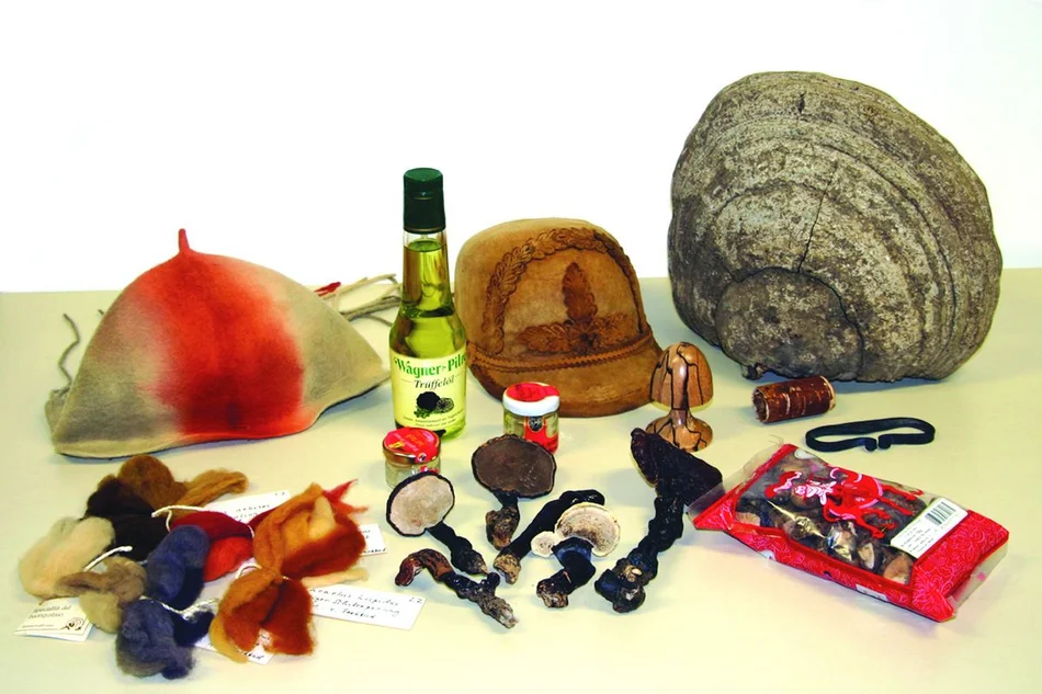 Einige Objekte der thematischen Führung 'Pilze zum Genießen, Heilen, Färben und Gestalten'