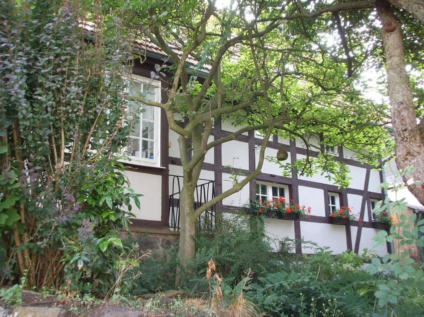 Hofmann'sche Sammlung, Gartenansicht