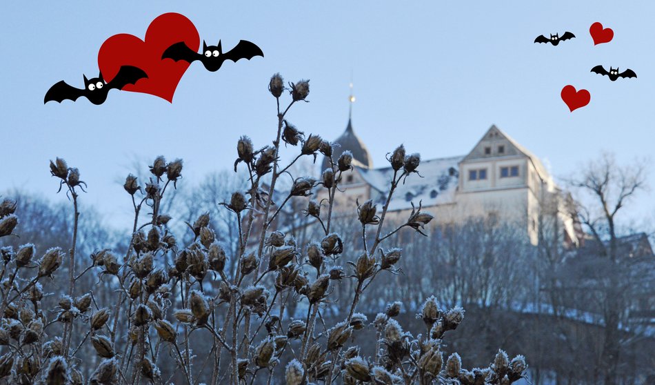 Fotomontage eines winterlichen Blicks auf Schloss Rochsburg mit Grafiken von schwarzen Fledermäusen und roten Herzen vor dem abendlichen Himmel