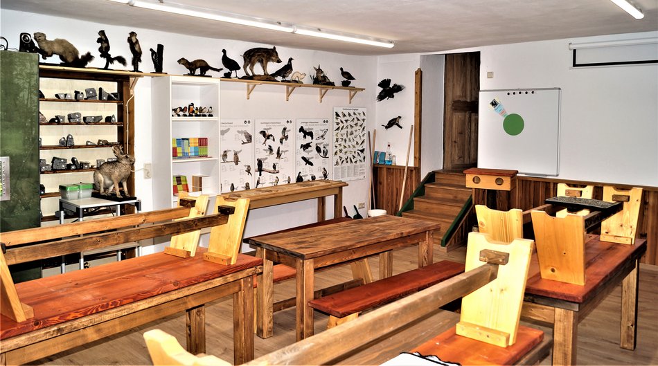 Zentral im Raum stehen Tische und Bänke zur Durchführung von Vermittlungsangeboten, am Kopfende befindet sich ein Whiteboard und an der Längswand sind Regale mit ausgestopften Waldttieren sowie Poster verschiedener Vogelgattungen.