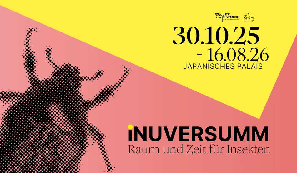 Key-Visual der Ausstellung "iNUVERSUMM - Raum und Zeit für Insekten" vom 30.10.2025 bis 16.08.2026 im Japanischen Palais in Dresden. Motiv ist die Grafik eines Käfers.