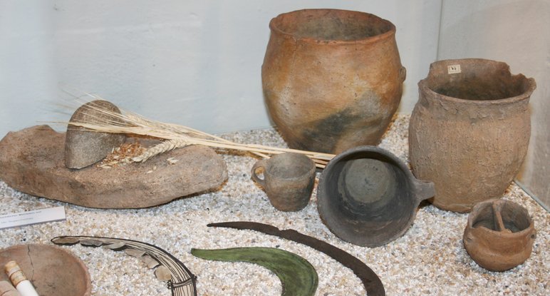 Foto mit mehreren aus der Steinzeit datierenden archäologischen Funden: je zwei Tonkrüge und -tassen, ein steinerner Mörser, auf dem sich Körner befinden und neben dem eine Getreide-Ähre liegt, sowie drei flache, sichelförmig geschwungene Objekte