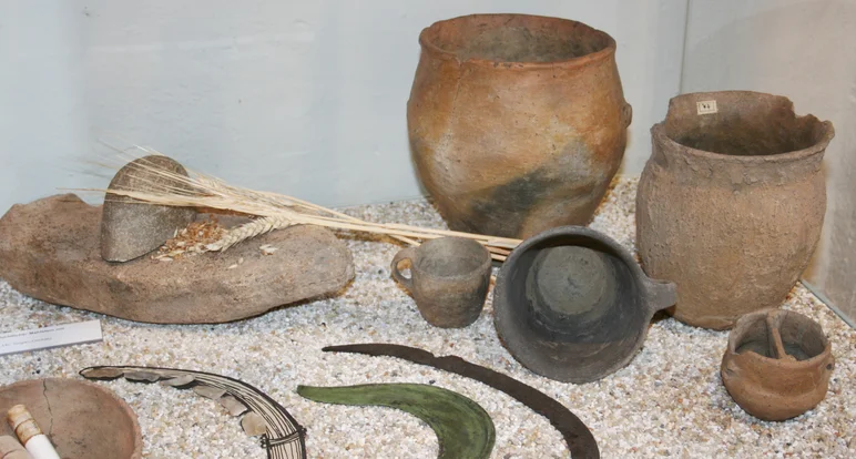 Foto mit mehreren aus der Steinzeit datierenden archäologischen Funden: je zwei Tonkrüge und -tassen, ein steinerner Mörser, auf dem sich Körner befinden und neben dem eine Getreide-Ähre liegt, sowie drei flache, sichelförmig geschwungene Objekte