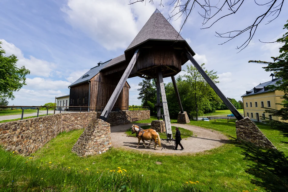 Echte Pferdestärke erwartet die Gäste im Besucherbergwerk Pferdegöpel in Lauta. Unter einem zeltähnlichem Gebäude führt eine Person ein Pferd mit einem kleinen Wagen im Kreis.