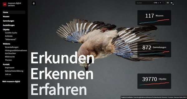Startseite des Online-Portals Sachsen.museum-digital.de, linkerhand ein Menübaum, zentral die Abbildung eines Eichelhähers im Sinkflug, darüber Angaben zur Anzahl der publizierten Museen, Sammlungen und Objekte