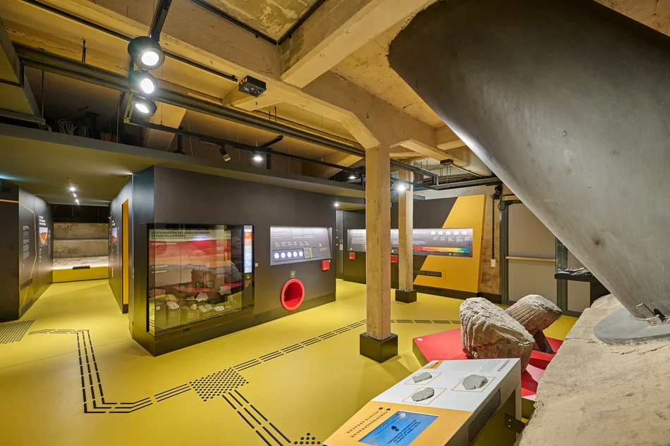 Ausstellungsbereich Geologie Ausstellungsmodule mit Vitrinen. Vorn ein Modul mit Tastmodell und Medienstation. Auf dem Boden ein taktiles Leitsystem.