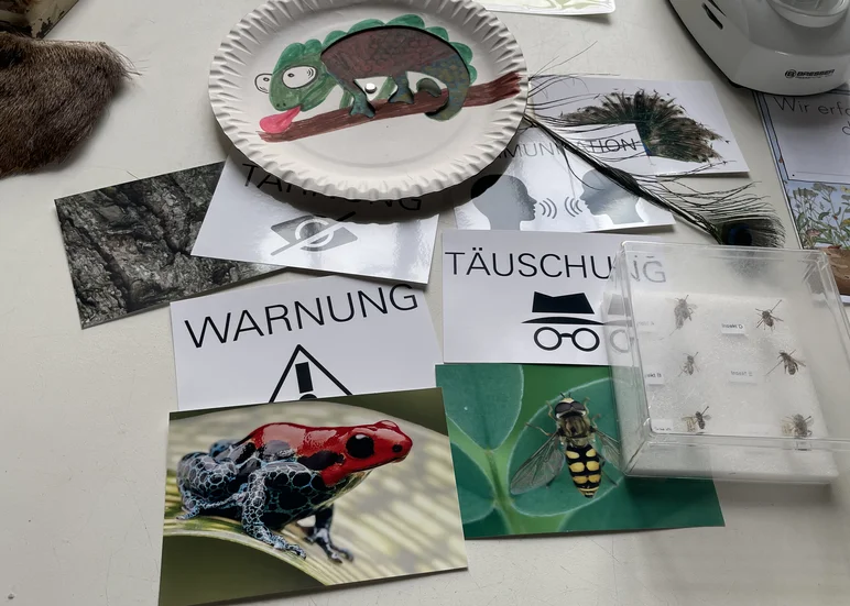 Auf einer Arbeitsfläche sind Bilder bunter Tiere und Arbeitskärtchen angeordnet.