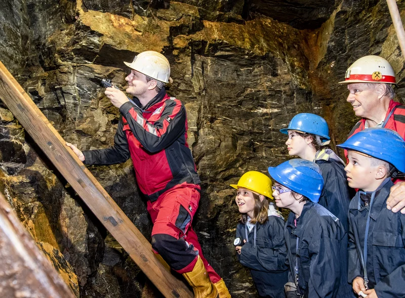 Zwei Erwachsene und vier Kinder mit Helmen und Schutzumhängen stehen an einer Leiter im Bergwerksstollen.