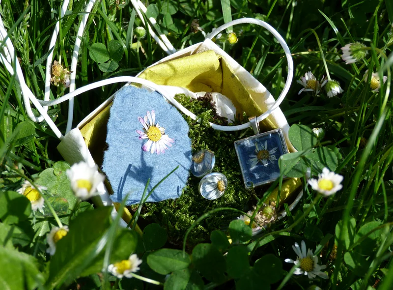 In einem hellblauen, handgeschöpften Stück Papier ist ein Gänseblümchen eingebettet; das Ganze liegt auf grünem Gras und Klee