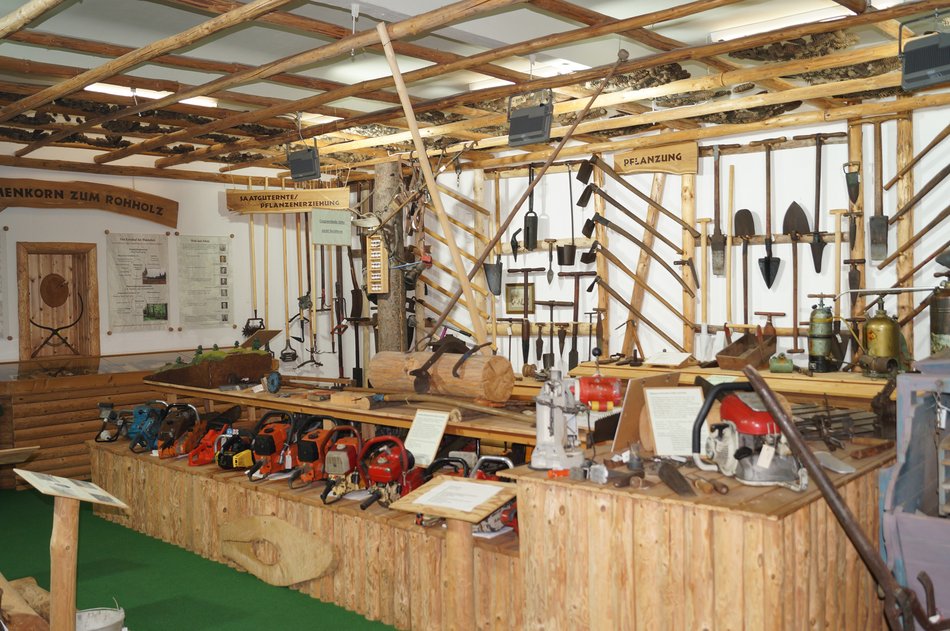 Der Ausstellungsraum beherbergt eine Vielzahl von Forst- und Waldarbeitsgeräten aus Vergangenheit und Gegenwart, von Hacken und Spaten bis zu diversen Motorsägen.