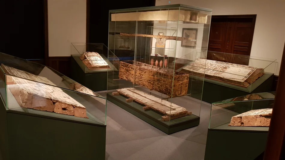 Das Foto zeigt einen Ausstellungsraum mit mehreren Vitrinen, in der Mitte ein Sarg. Darum herum mehrere weitere Sargteile.