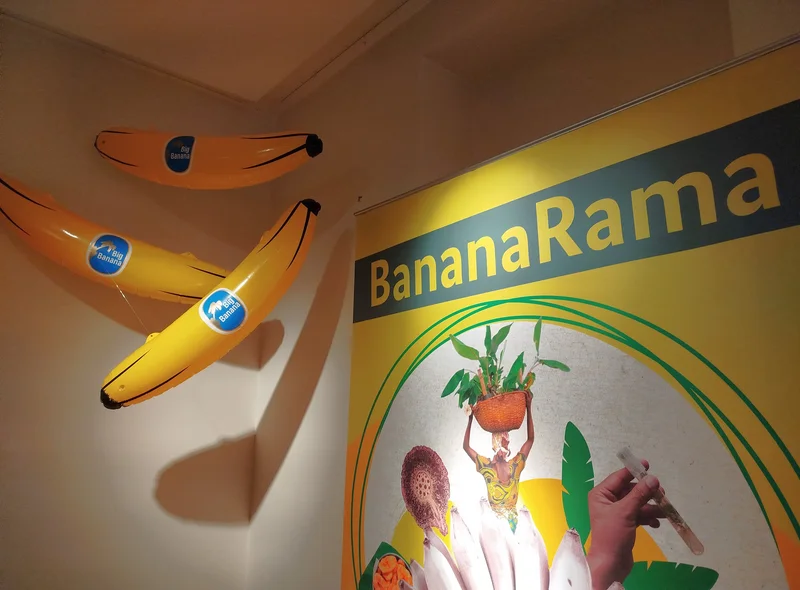 Eine bebilderte Wand trägt den Ausstellungstitel "BananaRama", daneben hängen 3 überdimensionale Bananen-Requisiten.