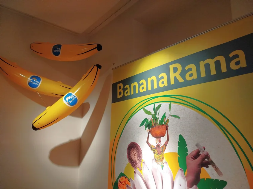 Blick in die Ausstellung Eine bebilderte Wand trägt den Ausstellungstitel "BananaRama", daneben hängen 3 überdimensionale Bananen-Requisiten.