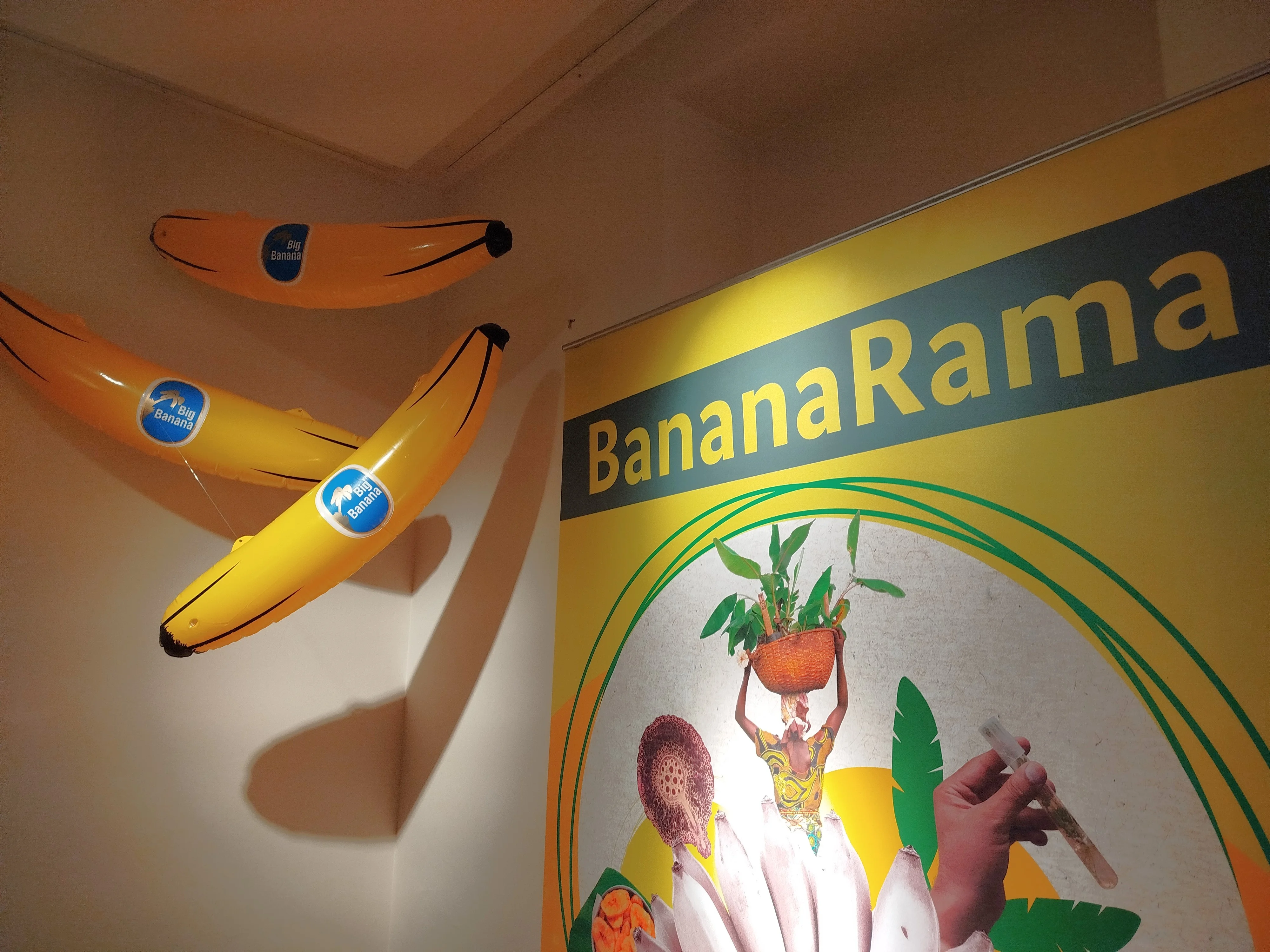 Blick in die Ausstellung Eine bebilderte Wand trägt den Ausstellungstitel "BananaRama", daneben hängen 3 überdimensionale Bananen-Requisiten.