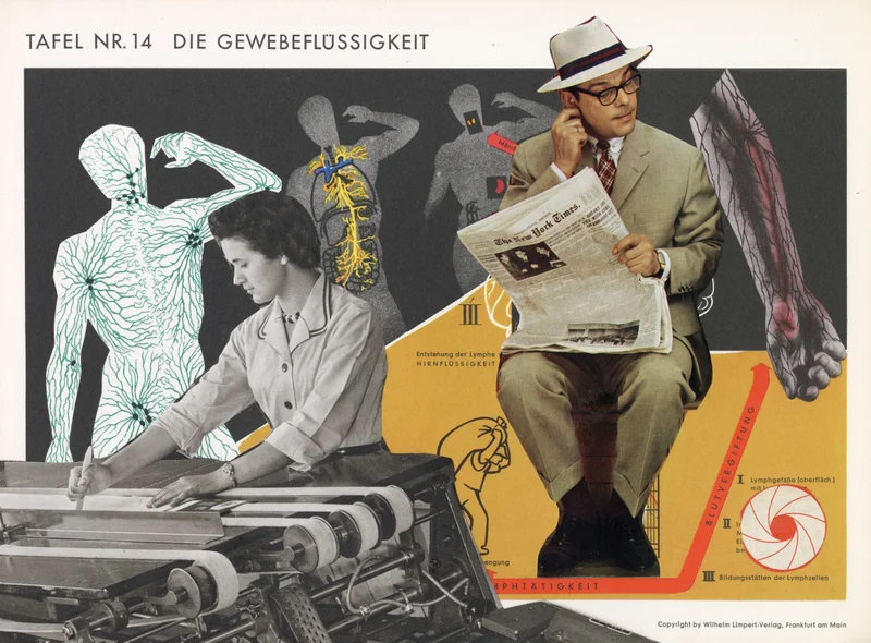 Collage. Zeichnungen von Flüssigkeitsbahnen im Menschen, davor Fotos eines zeitungslesenden Mannes und einer arbeitenden Frau