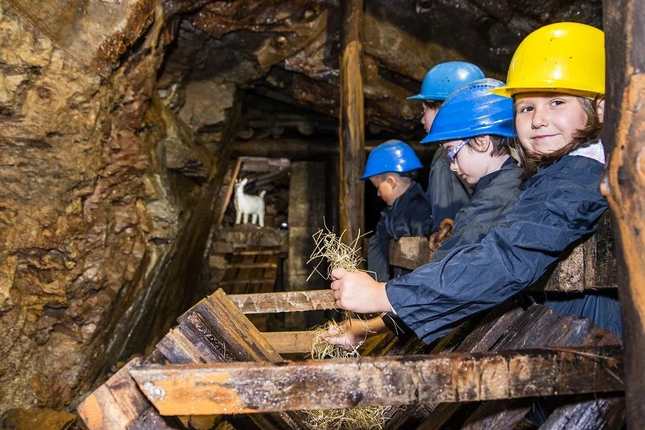 Bergbau erleben Vier Kinder mit Schutzkleidung und Helmen im Besucherbergwerk