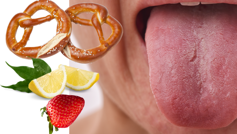 Die Collage zeigt die Nahaufnahme einer unteren Gesichtshälfte mit ausgestreckter Zunge, daneben zwei Salzbrezeln, zwei Stück Zitrone und eine Erdbeere.