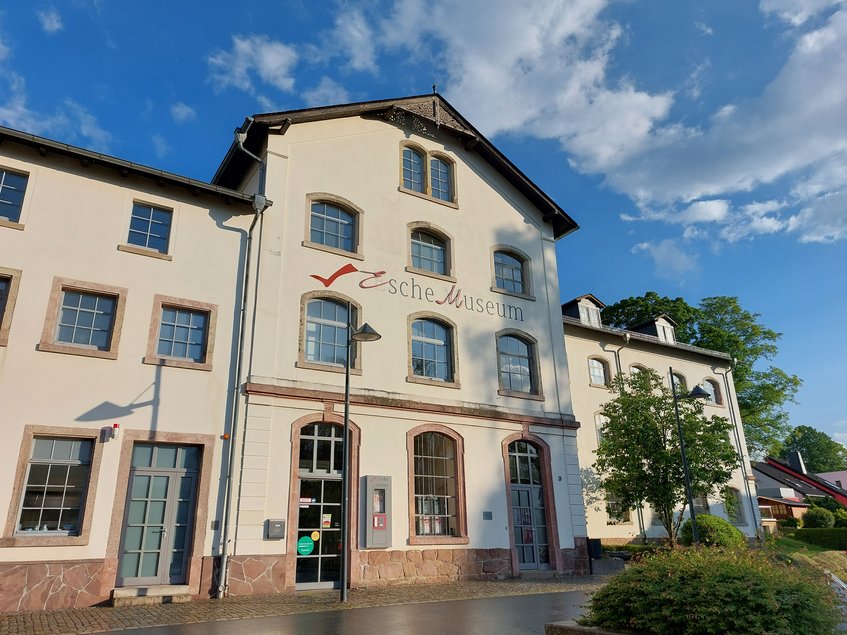 Das Foto zeigt eine Außenansicht des Esche-Museums Limbach-Oberfrohna.
