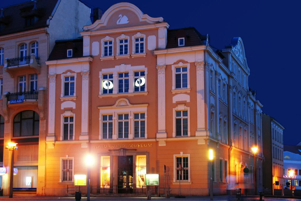 Senckenberg Museum für Naturkunde Görlitz