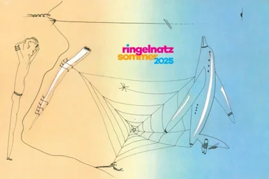 Grafik, in der ein verschiedene Elemente - ein Mensch, Musiknoten, ein Flugzeug und so weiter - durch ein Spinnennetz miteinander verwoben sind. Darüber steht: "Ringelnatz-Sommer 2025".