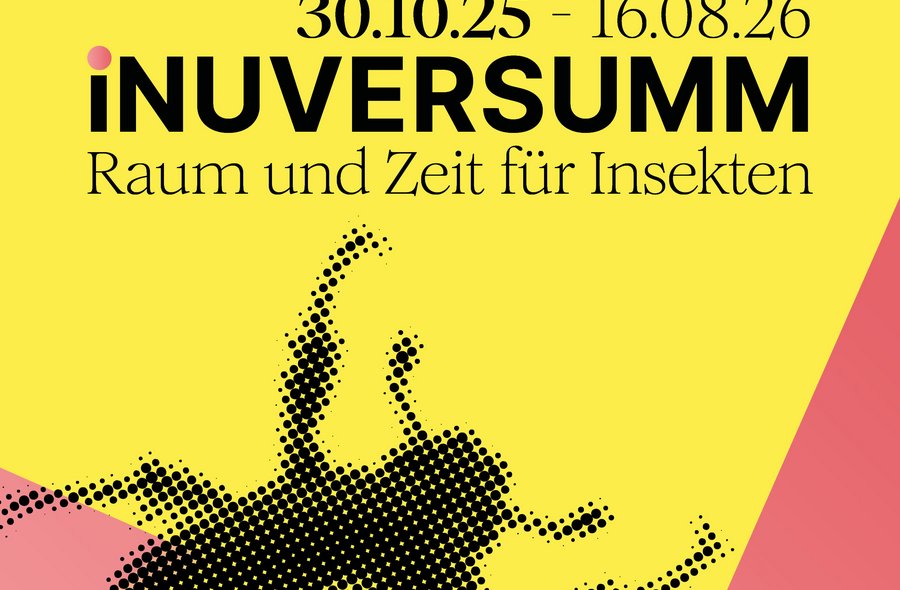 Ausstellungsplakat Key-Visual der Ausstellung "iNUVERSUMM - Raum und Zeit für Insekten" vom 30.10.2025 bis 16.08.2026 im Japanischen Palais in Dresden. Motiv ist die Grafik eines Käfers.