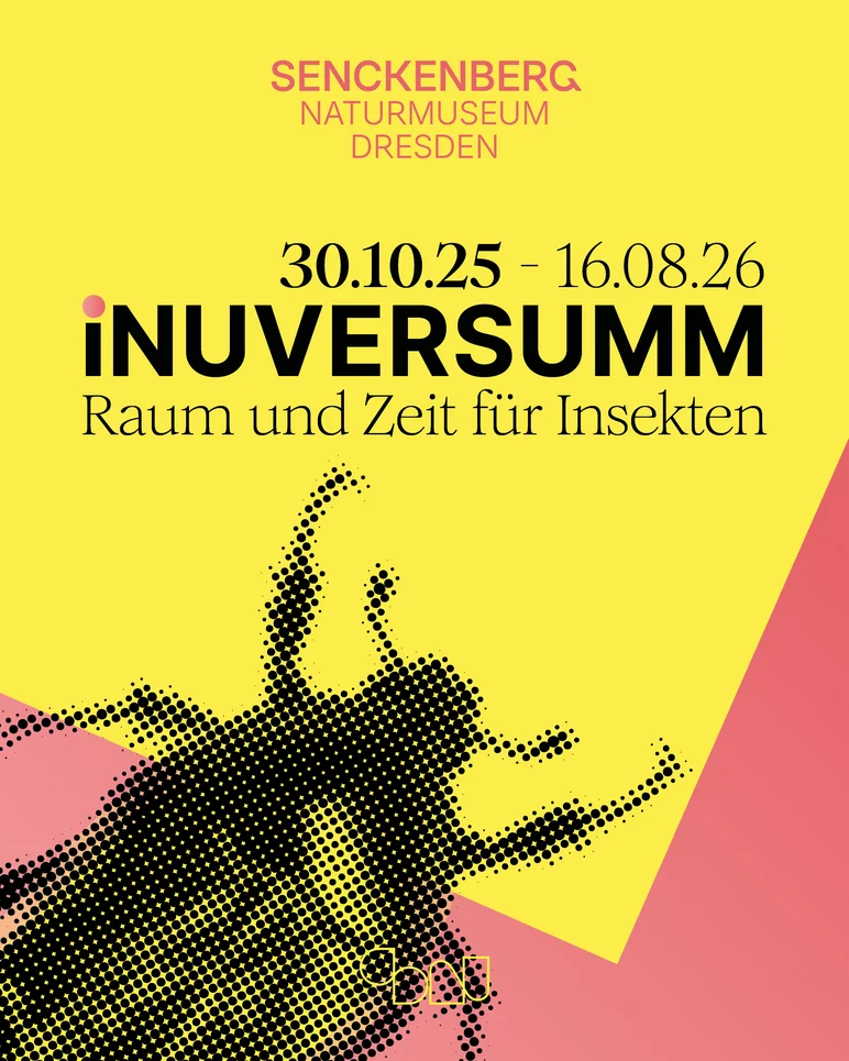 Key-Visual der Ausstellung "iNUVERSUMM - Raum und Zeit für Insekten" vom 30.10.2025 bis 16.08.2026 im Japanischen Palais in Dresden. Motiv ist die Grafik eines Käfers.