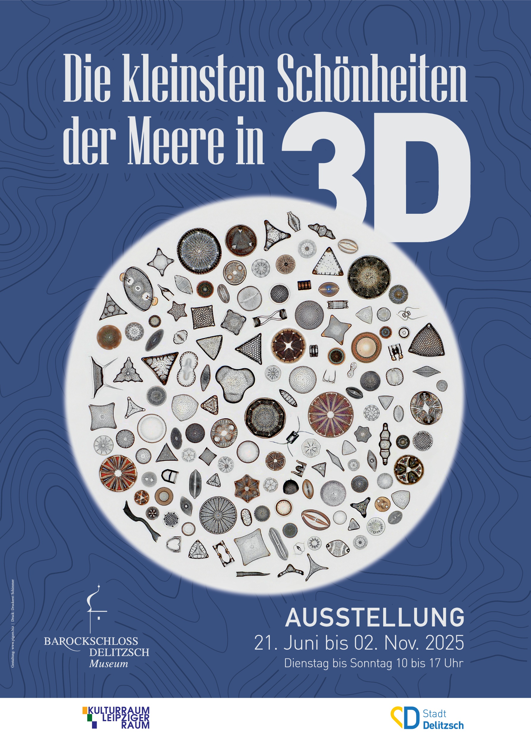 Plakatmotiv ist eine kreisförmige Darstellung verschiedener Mikroorganismen. Darüber und darunter stehen der Ausstellungstitel "Die kleinsten Schönheiten der Meere in 3D", der Ausstellungsort und die Laufzeit sowie Logos der Fördermittelgeber.