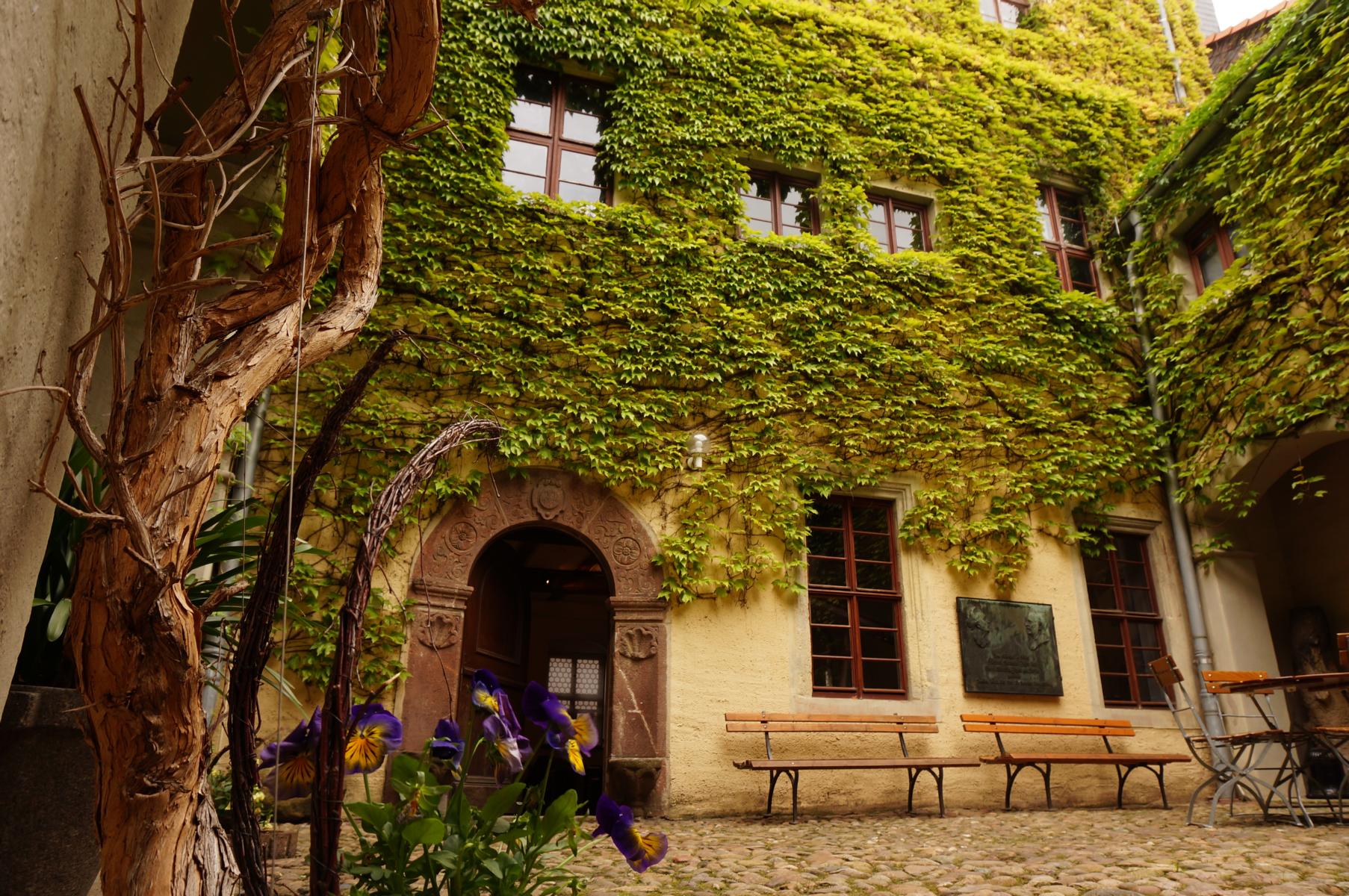 Innenhof eines historischen Gebäudekomplexes mit Efeu-bewachsener Fassade