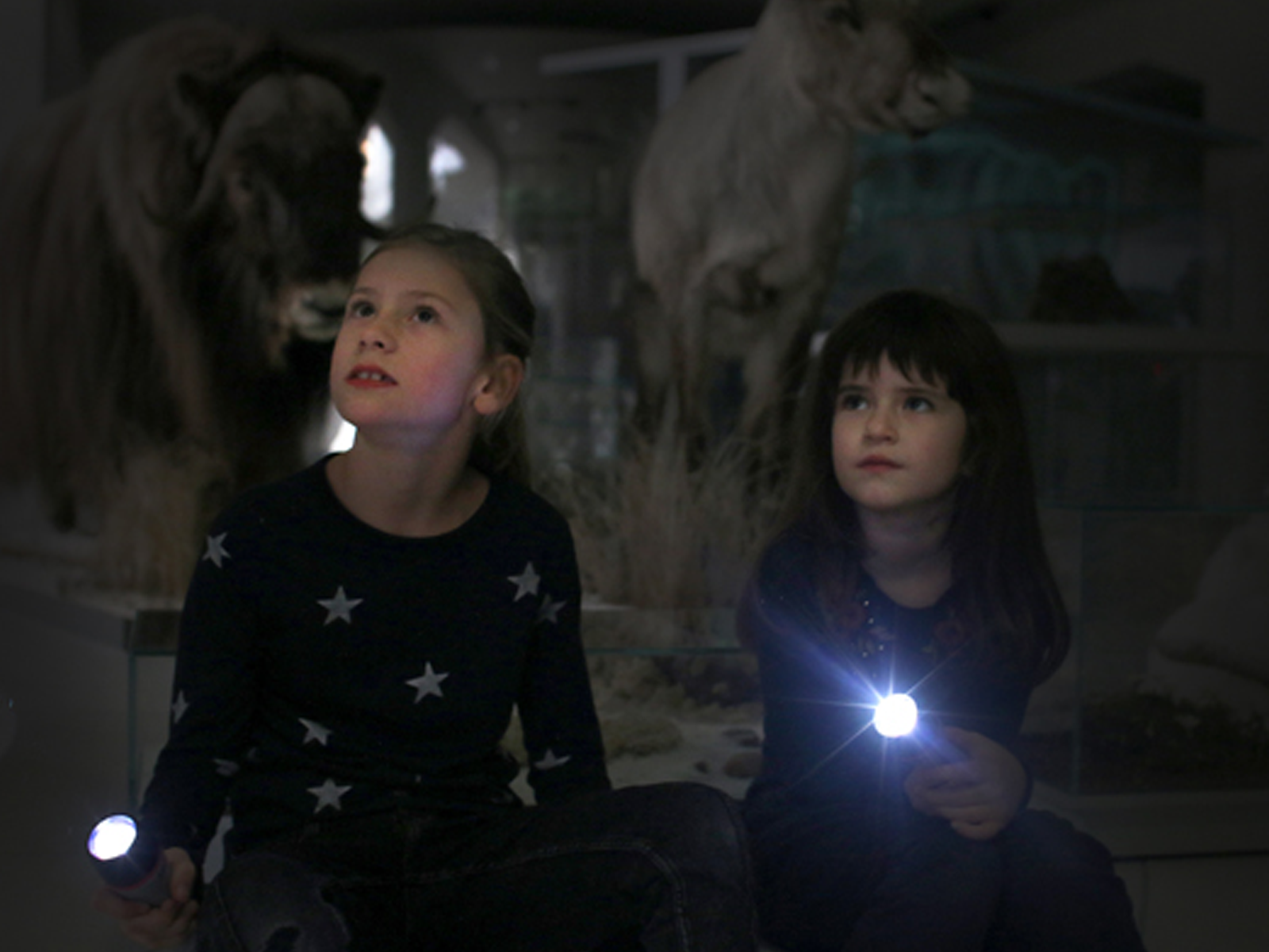 Das Bild zeigt zwei Kinder mit Taschenlampen. Sie schauen nach oben. Das Licht ist dunkel.