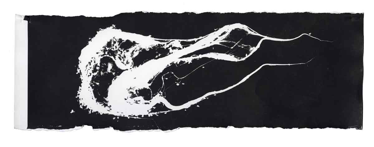 Fotogramm, auf dem sich eine abstrakte weiße Form, die an die Meeresgischt oder aber die Tentakel einer Qualle erinnert, vor schwarzem Hintergrund abhebt