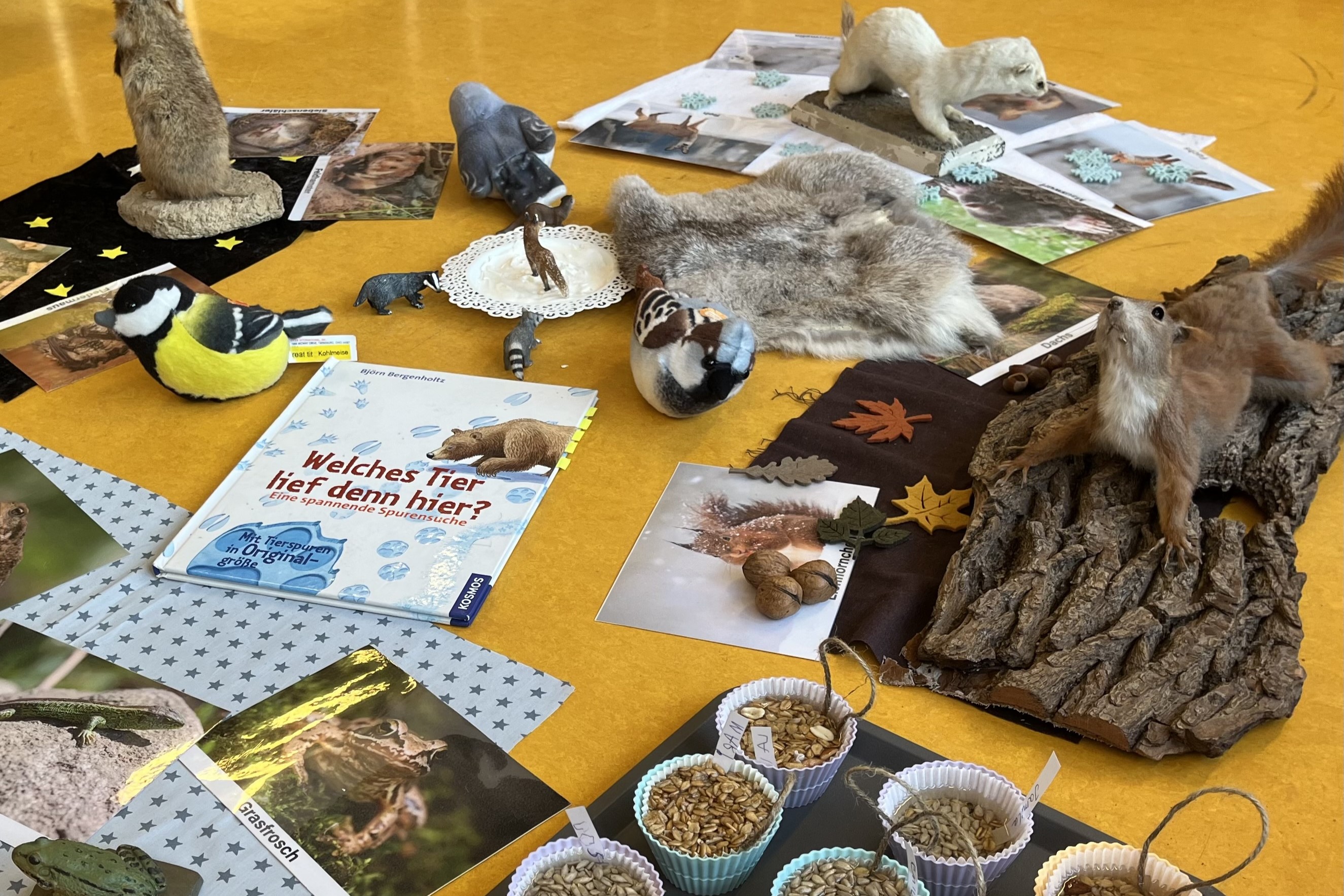 Auf einer Arbeitsfläche sind Tierfotos, Kleintierpräparate, ein Buch und Schälchen mit Körnern angeordnet.